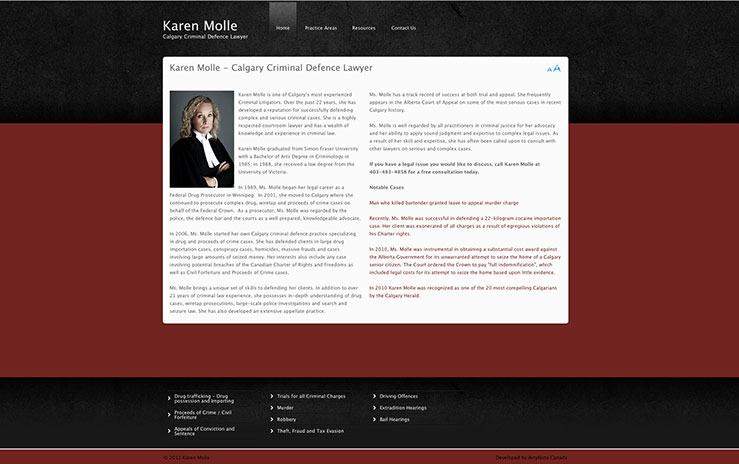 Karen Molle - Criminal Defence Lawyer